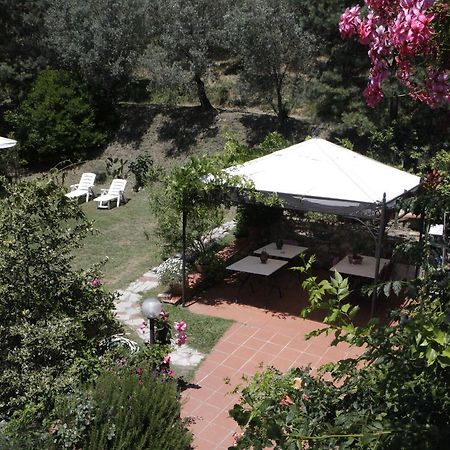 Bed and Breakfast Casa Virgilio Фоздиново Экстерьер фото