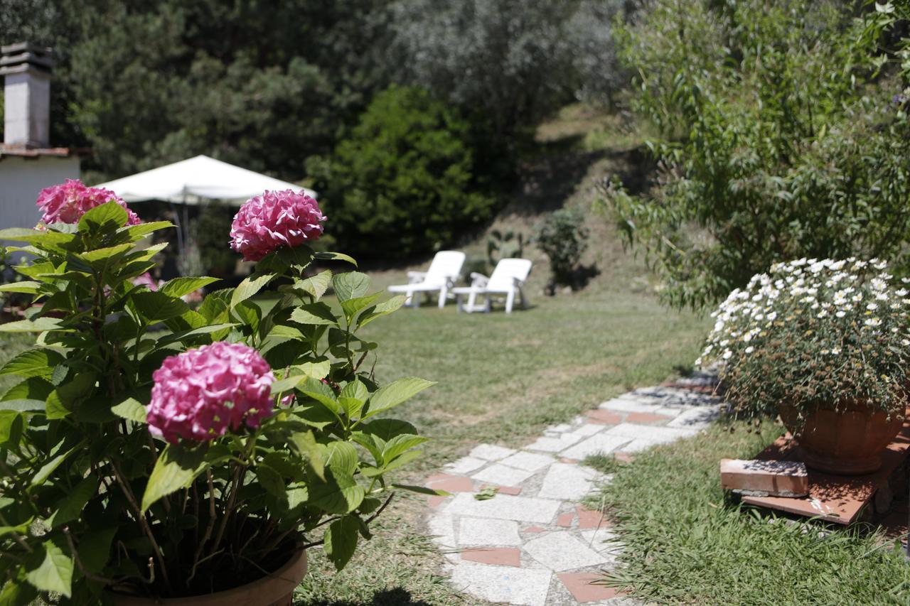 Bed and Breakfast Casa Virgilio Фоздиново Экстерьер фото